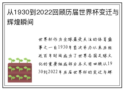 从1930到2022回顾历届世界杯变迁与辉煌瞬间